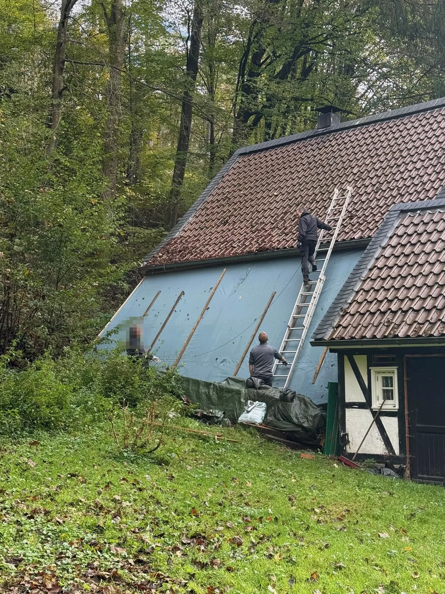 Eine Person steht auf einer Leiter an der Dachkante, zwei weitere helfen von unten.