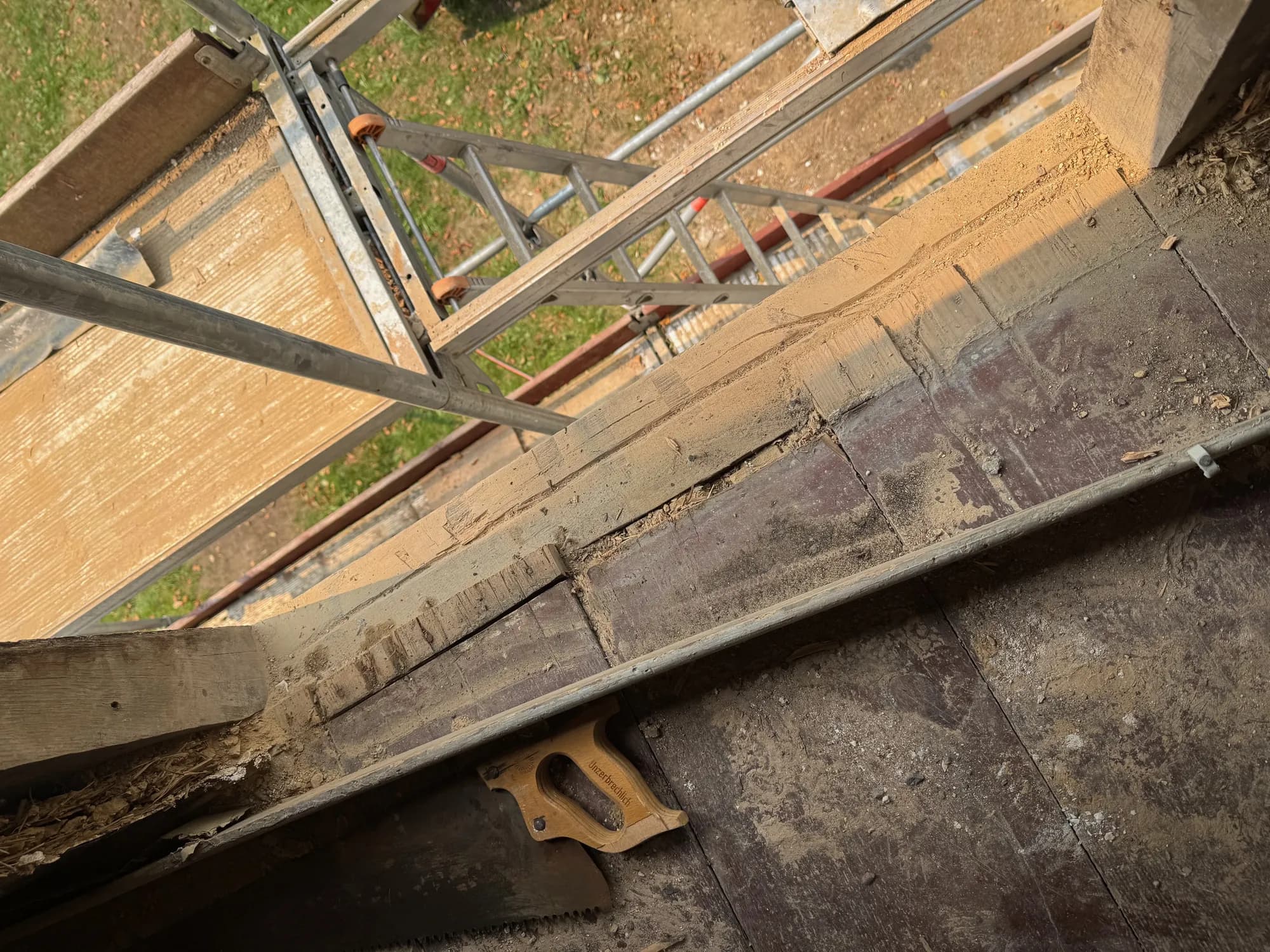 Freigelegter Holzbalken mit Sägemehl, daneben eine Handsäge, im Hintergrund Gerüst und Wiese.