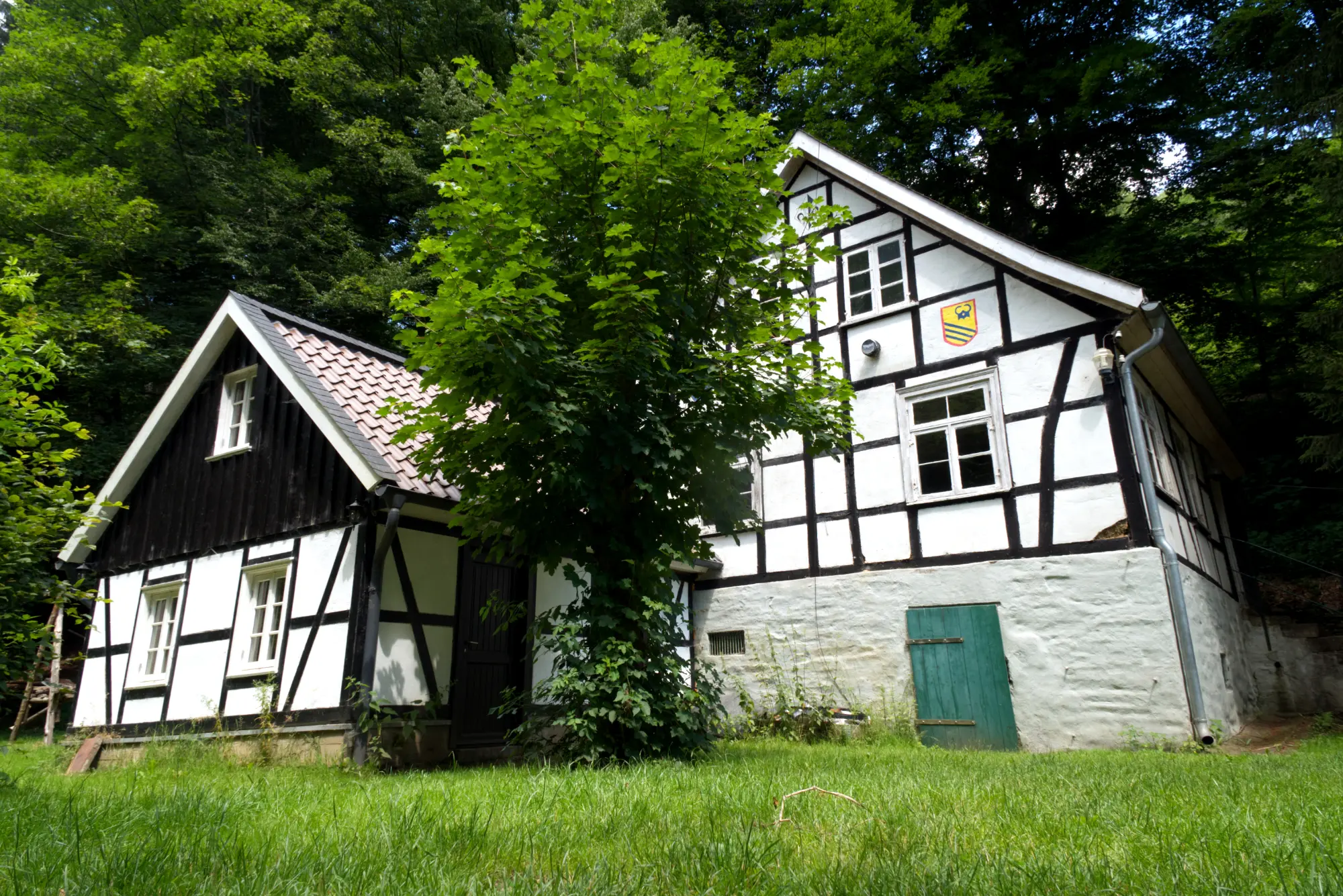 Das Wohnhaus des Diederichskottens im Hammertal: weißes Fachwerk mit schwarzen Balken und grüner Kellertür, umgeben von Wald.